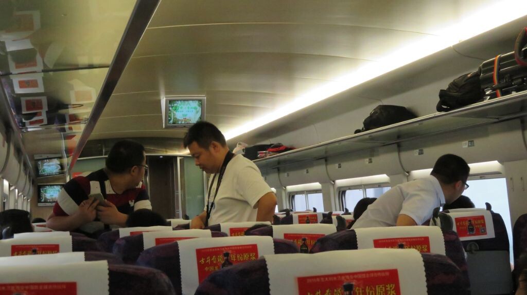 和我同路的小伙伴