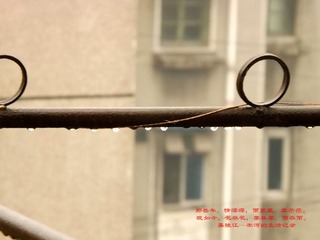 DSCF6003_