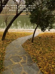 DSCF6014_