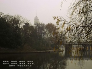DSCF6019_