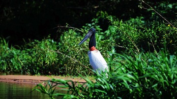 DSC_4340.jpg
