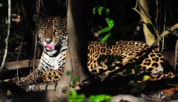 DSC_4727.jpg