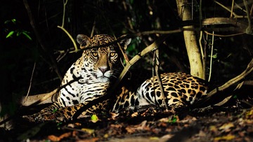DSC_4763.jpg