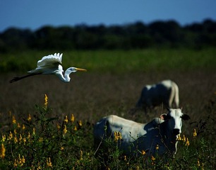 DSC_5029.jpg