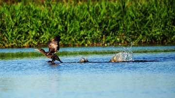 DSC_5306.jpg
