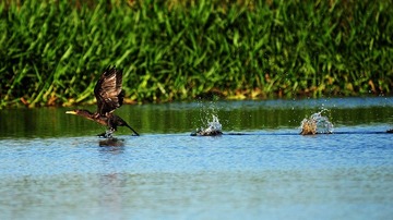 DSC_5308.jpg