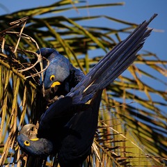 DSC_4967.jpg