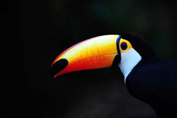 DSC_3350.jpg