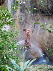 DSCN2183.jpg