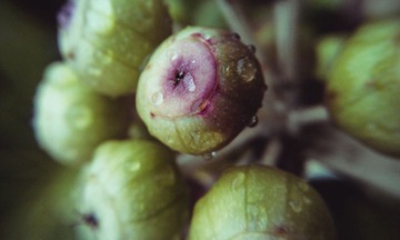 20130405-IMAG5491.jpg