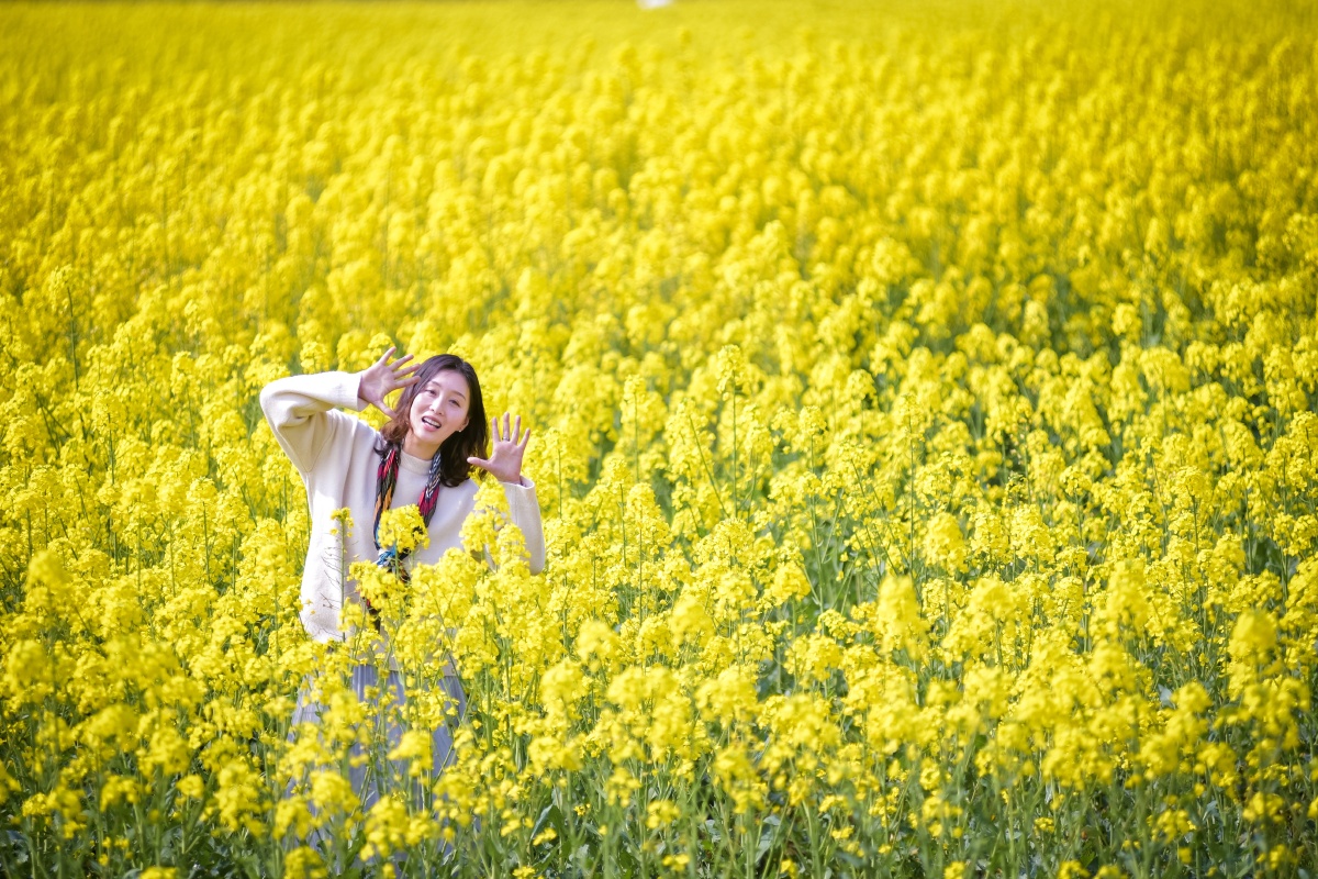 成都油菜花,寻找当年小姑娘的感觉 - devin阿拉丁 - 图虫