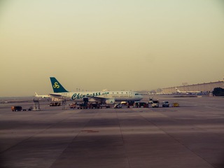 P1010860.jpg