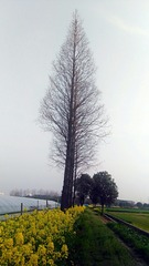 534109