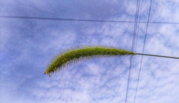 IMG_20180527_164644-01-01