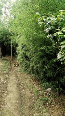 IMG_20180527_163931-01