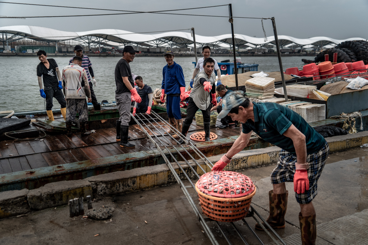 吕四渔港海捕船进港