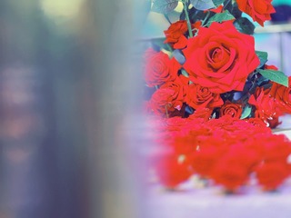 9A33FE3C-AF91-4F98-952F-FE112A5B8F31/L0/001