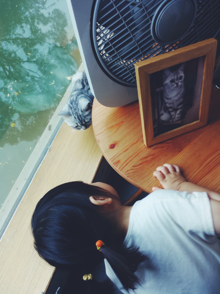 苏州时与光 - 抓拍, 手机 - 如蕤 - 图虫摄影网