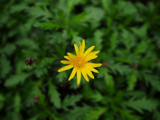 70D0ED80-4F1A-47D4-B913-8E5EFDB7CF24/L0/001