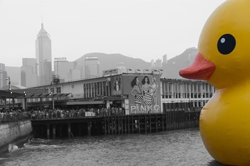 2013_05_11_6499.jpg
