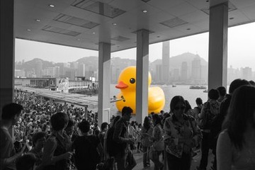 大黄鸭.jpg