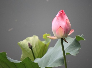 IMG_8987.JPG