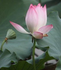 IMG_9006.JPG