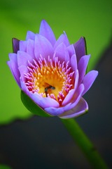 _MG_9450.JPG