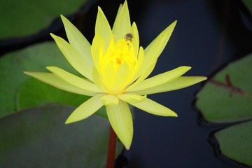 _MG_9457.JPG