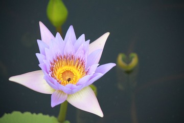 _MG_9461.JPG