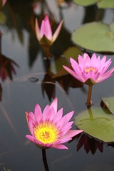 _MG_9474.JPG