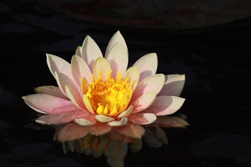 IMG_5545.JPG