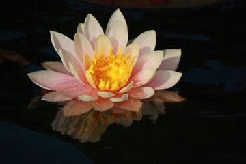 IMG_5546.JPG