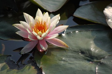 IMG_5547.JPG
