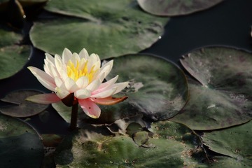 IMG_5548.JPG