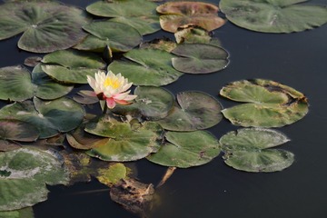 IMG_5551.JPG