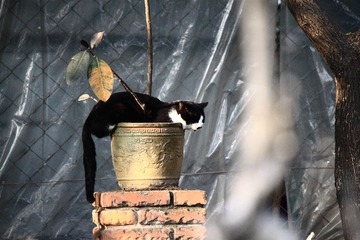 IMG_5594.JPG