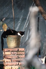 IMG_5595.JPG