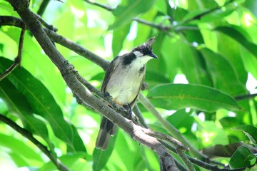 IMG_9364.JPG