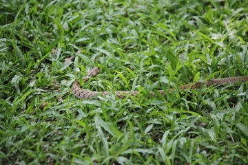 IMG_9399.JPG