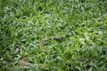 IMG_9401.JPG