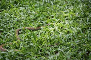IMG_9402.JPG