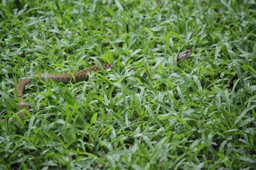 IMG_9403.JPG