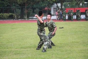 DPP_0038.JPG