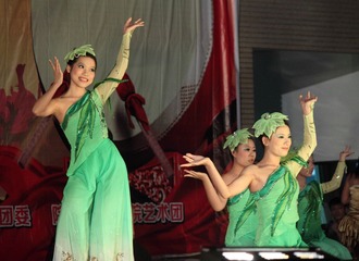 DPP_32423452.JPG