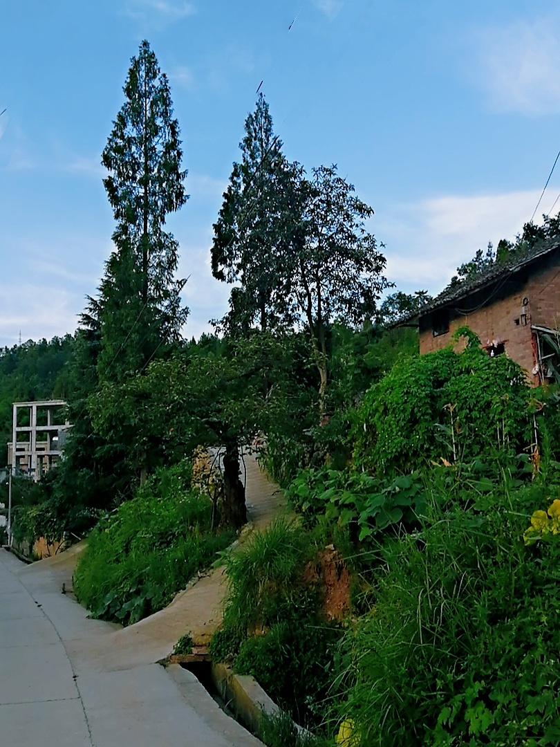 傍晚的黔北山区沙岭风光