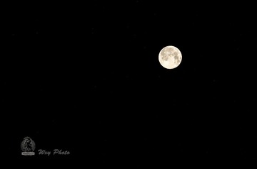 DSC_5576.jpg