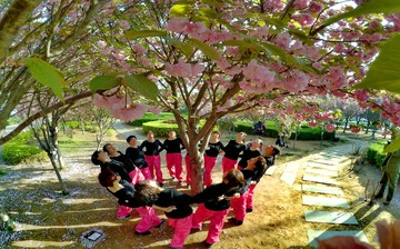 《幸福像花儿一样》姚秀堂15639200668QQ369007616