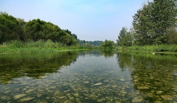《淇水清清》
