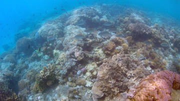 G0215247-1